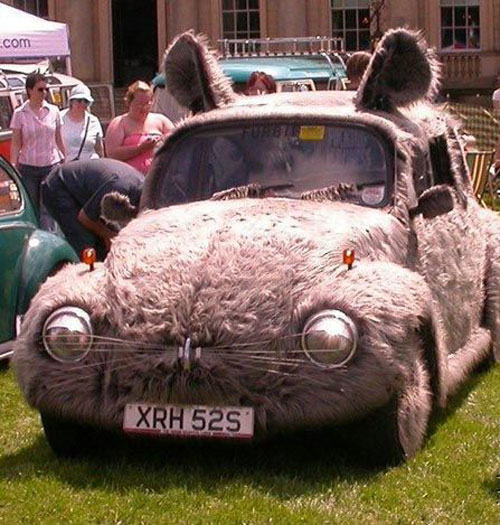 Auto_haluze.1